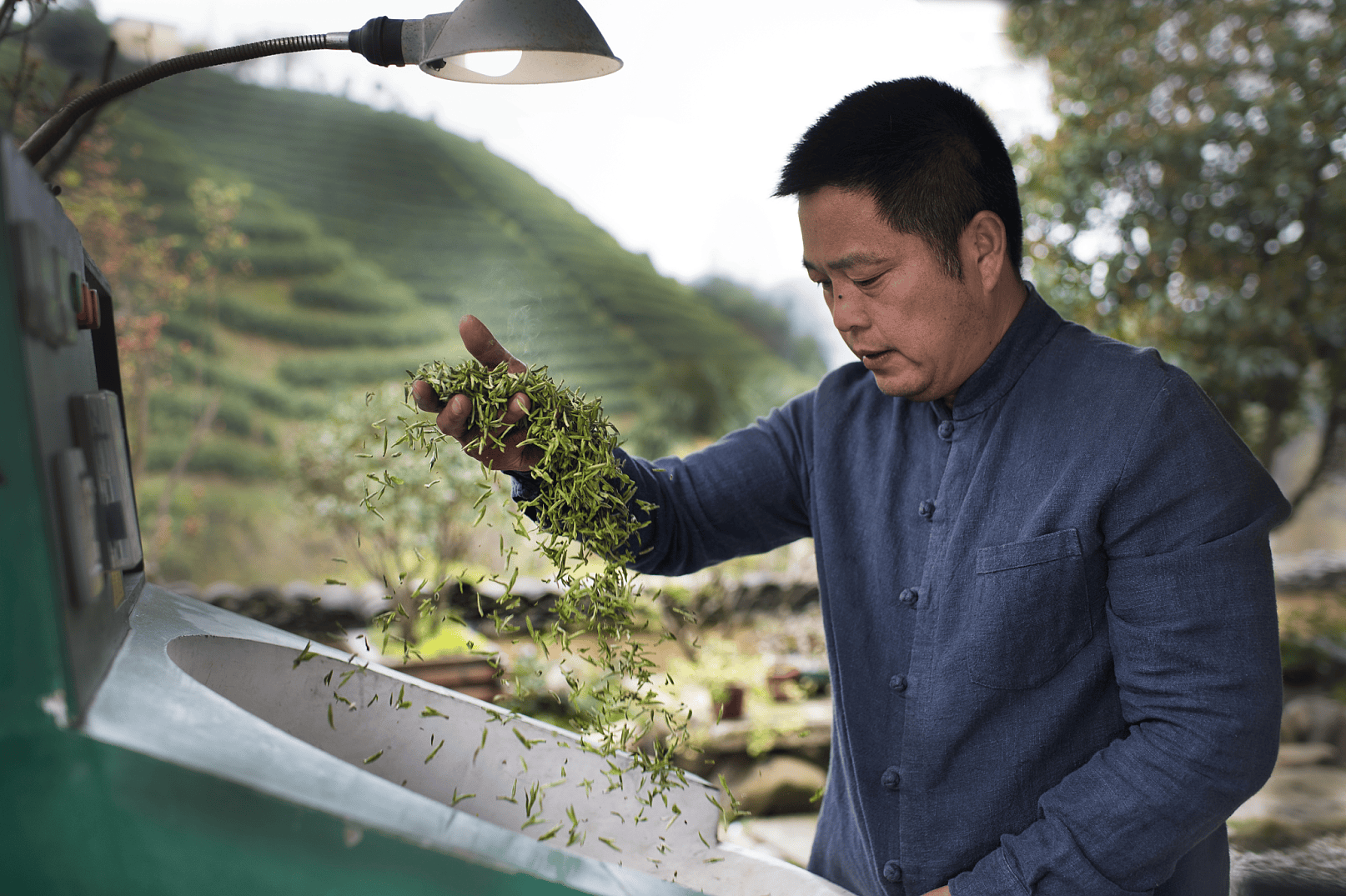 俞荣华：让径山茶真正必赢平台成为径山村老百姓的摇钱树(图1)