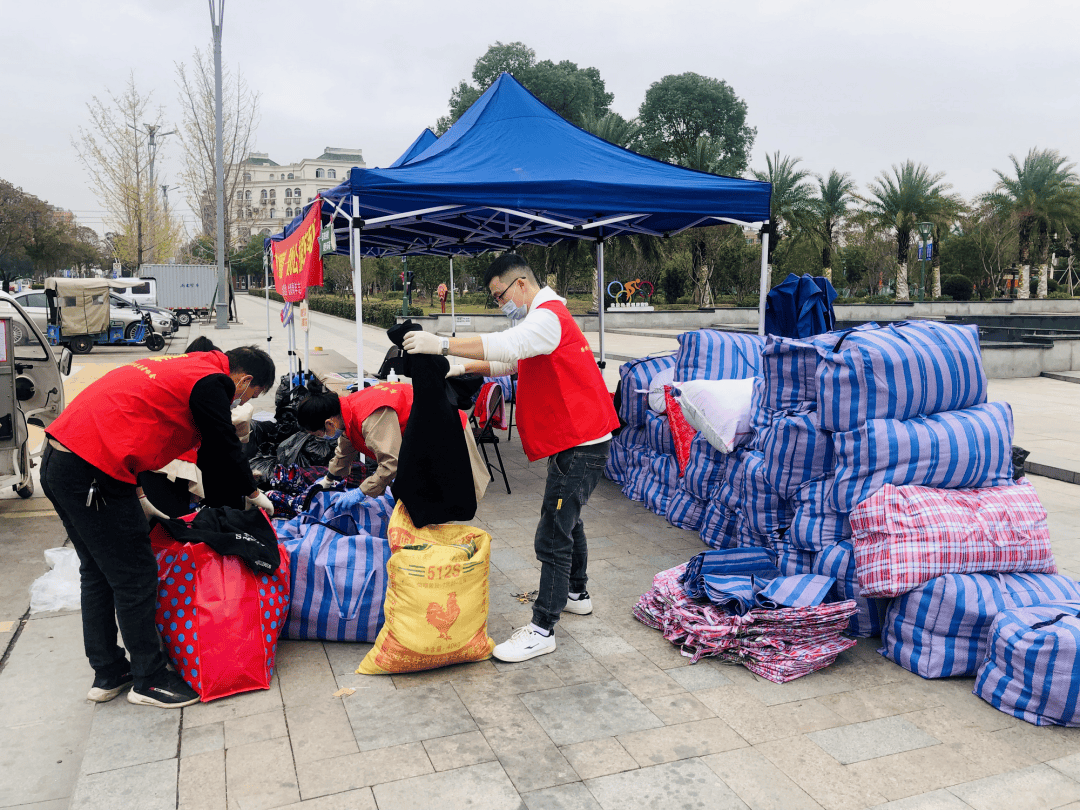 衣物_回收_反馈