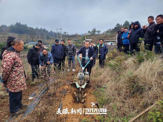 必赢平台贵州省蓝莓栽培技术培训在凯里举行 无人机开沟机齐助阵(图1)