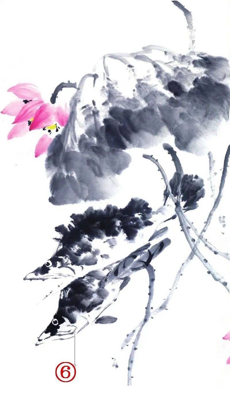 鳜鱼,鲤鱼,金鱼搭配写意荷花,这样画!