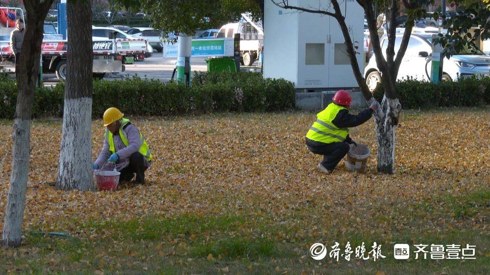 枣欧博体育庄高新区：强化园林建设管护 着力提升绿化品质(图1)