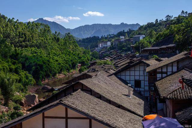 酉阳丁市镇大龙村:柿子成熟时,乡村旅游新画卷