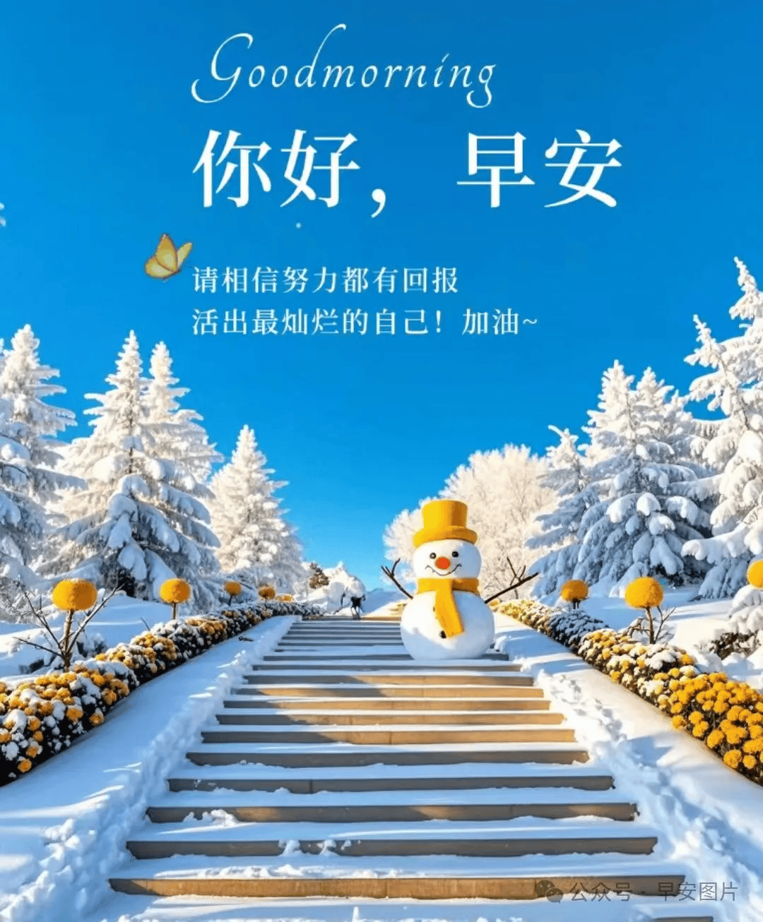精选早上好问候语唯美祝福图片