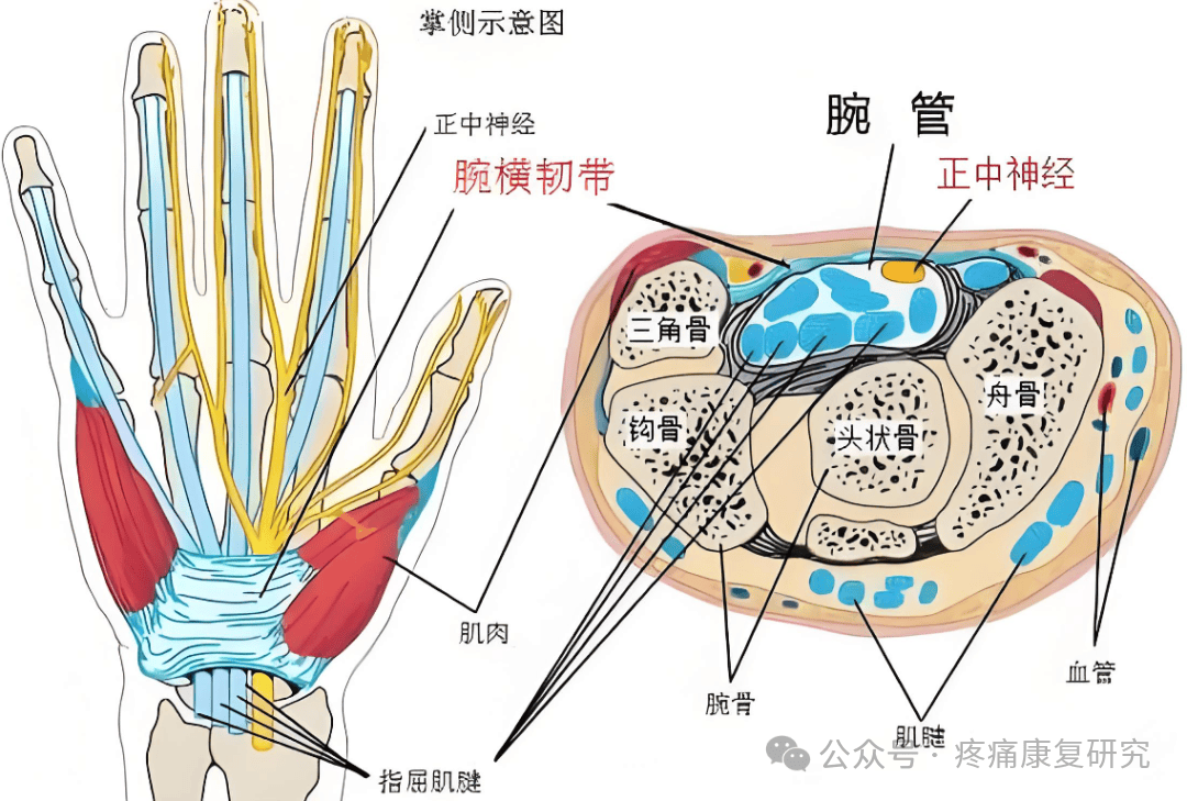 手麻,颈椎病只是其一,这 6 种情况千万不要忽略