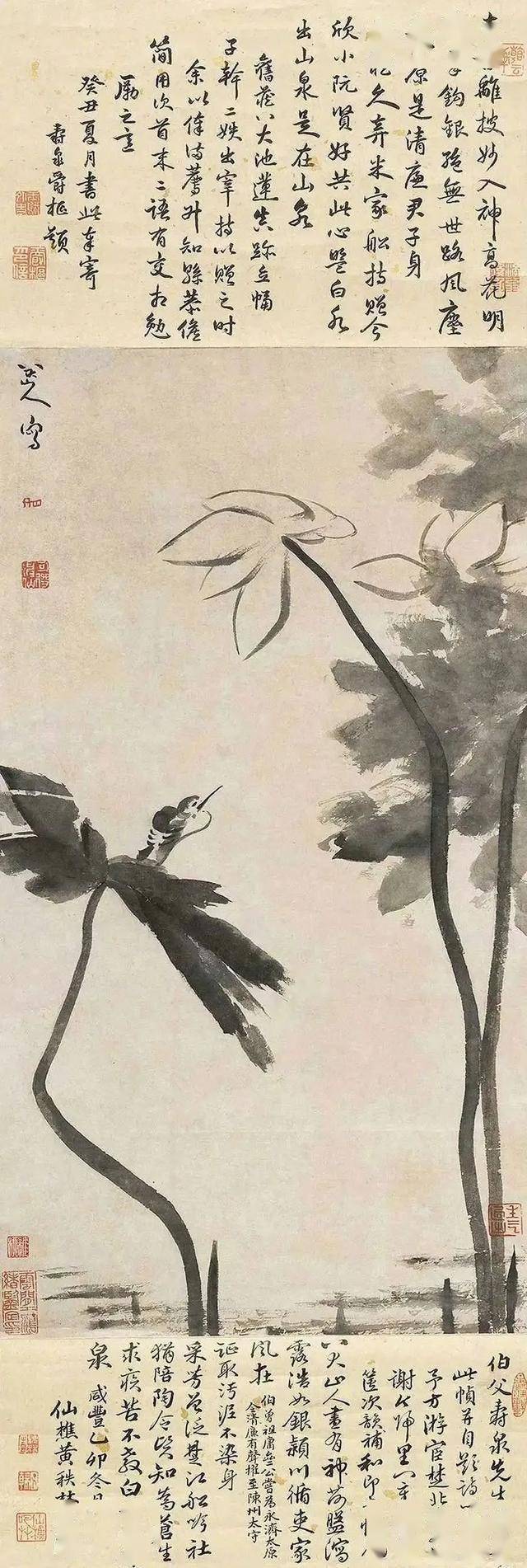八大山人画荷花水鸟，潇洒淋漓_搜狐网