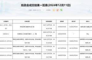 成都土拍丨四宗地底价成交 最高成交价9100元/㎡_拍卖_地块_住宅