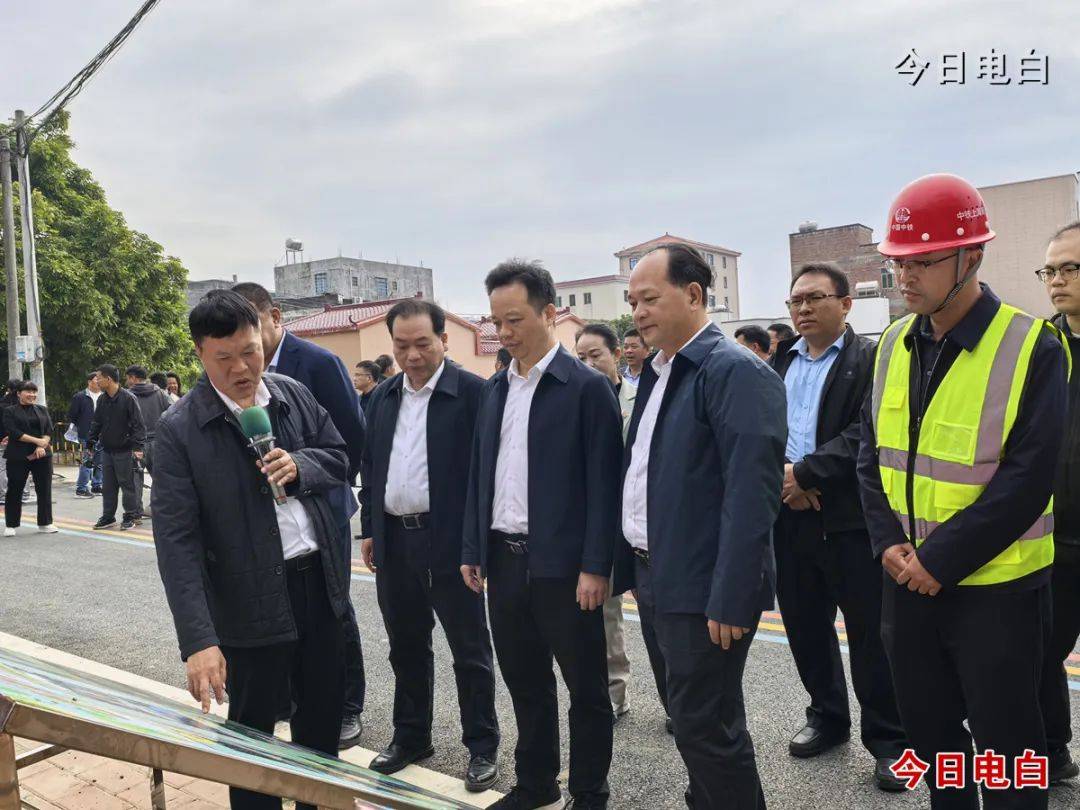 电白区"百千万工程"典型镇村现场观摩交流会在霞洞镇召开