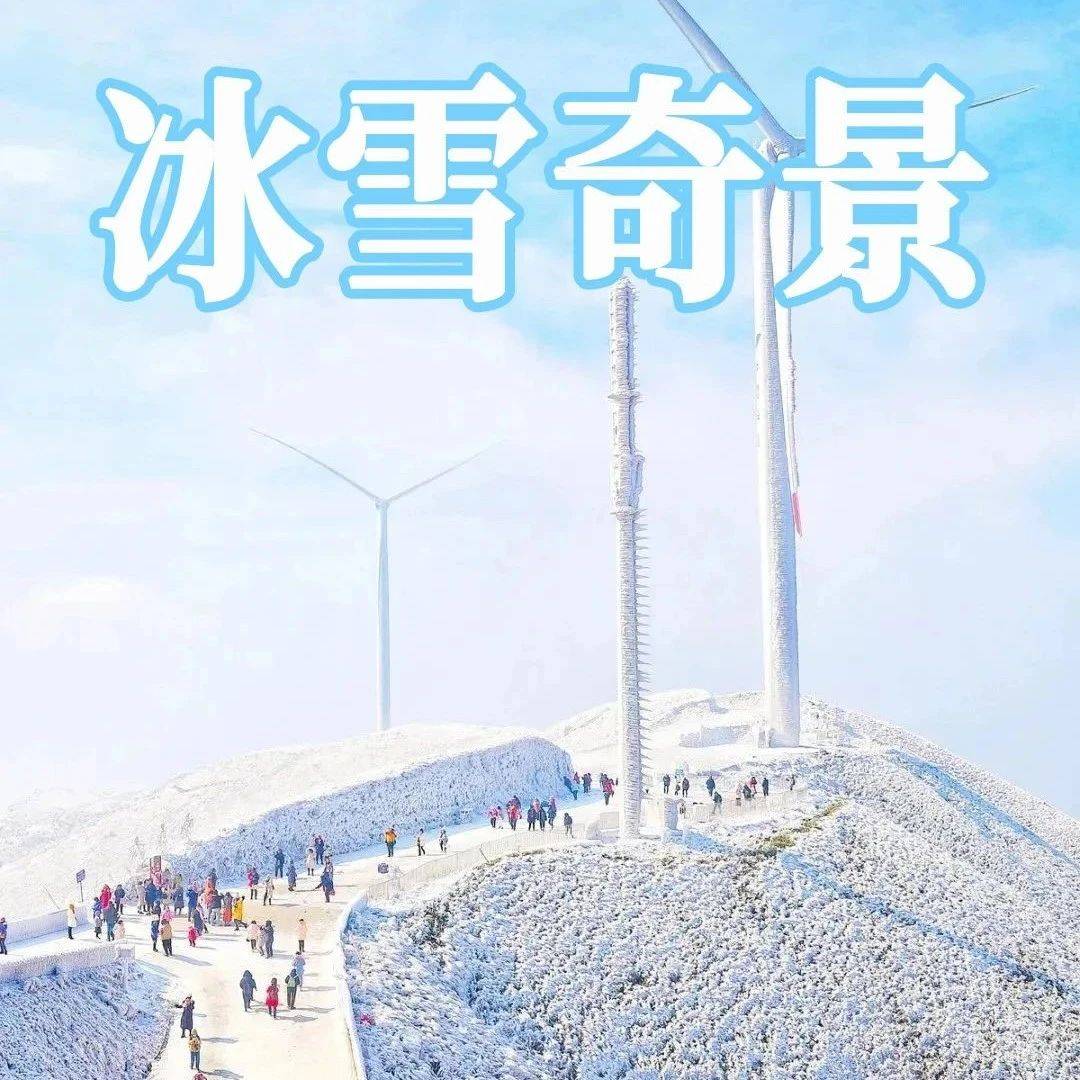 冰雪天气必发【特惠299元起·冰雪奇景】行摄南方两大雪乡皇后山+云冰山,观云海秘境、赏雾淞、看冰挂、泡汤泉2天游!_茶园_景区