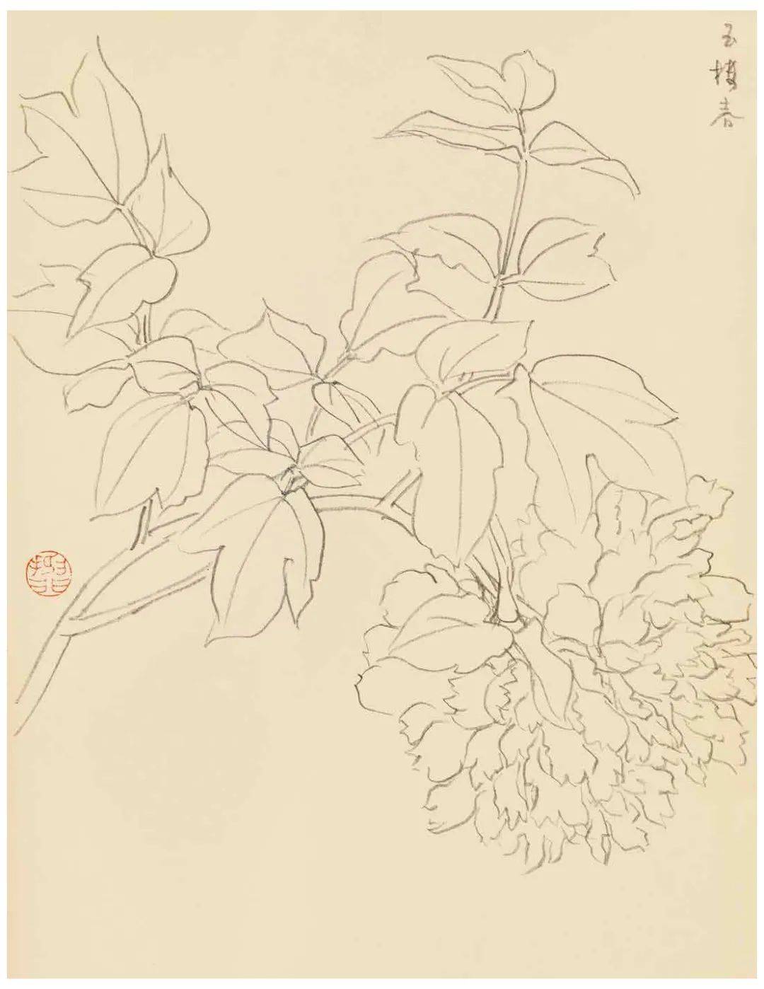 陆抑非先生说白描