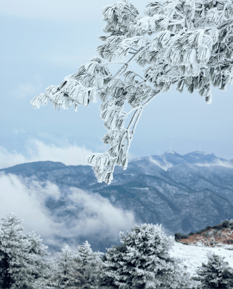 武夷山雪景 真实图片