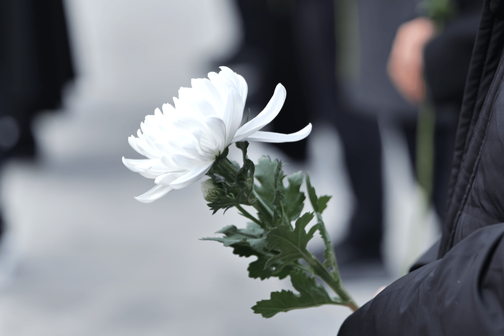 南京抗日航空烈士纪念馆举行南京大屠杀死难者国家公祭日同步悼念活动