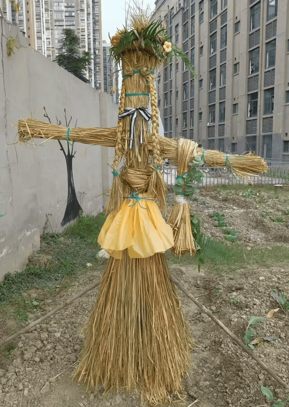 扎根传统,守望希望——用稻草编织田野之魂