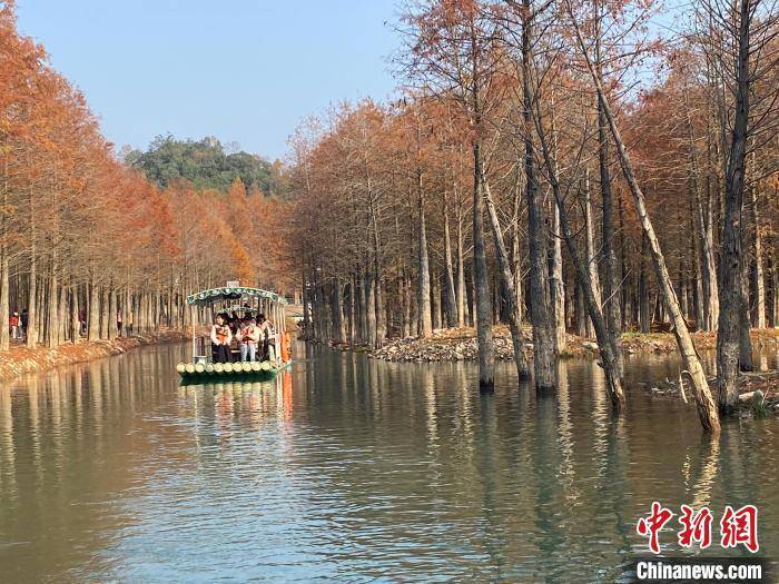 走进中国乡村）咖啡店“奔村”打开中国乡村星空体育APP旅游新场景(图1)