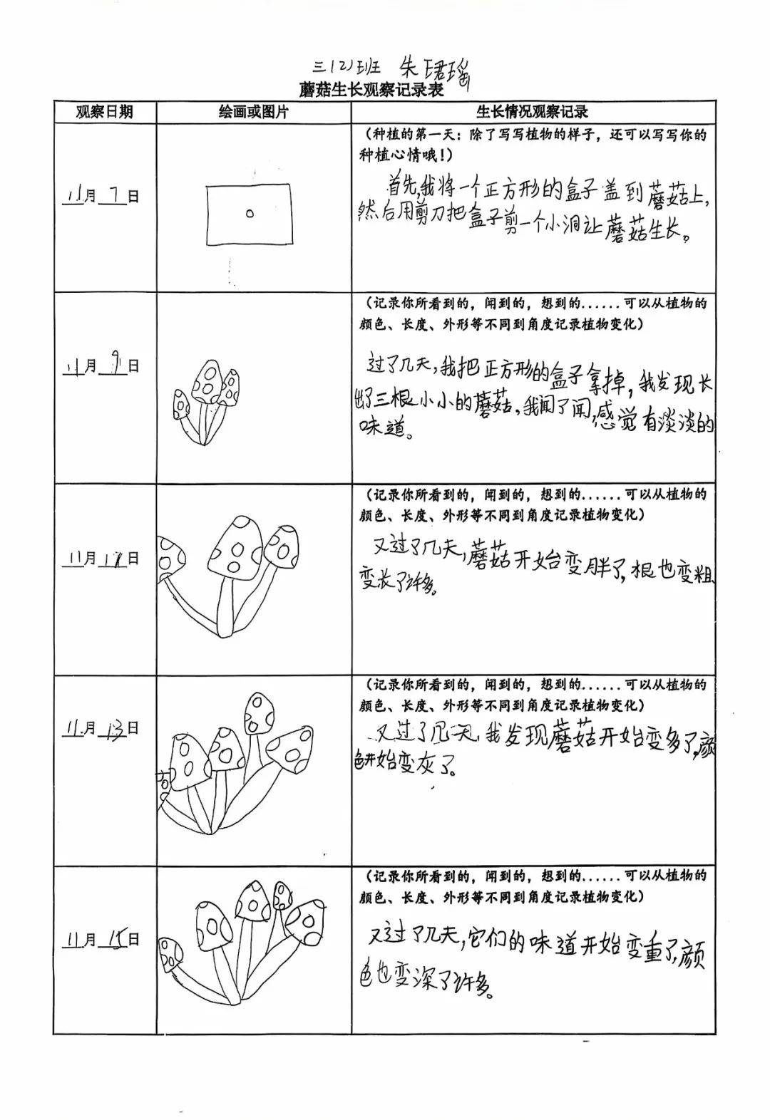 孩子们悉心观察着烹饪的每一步步骤,用文字细腻地勾勒出食材的鲜亮