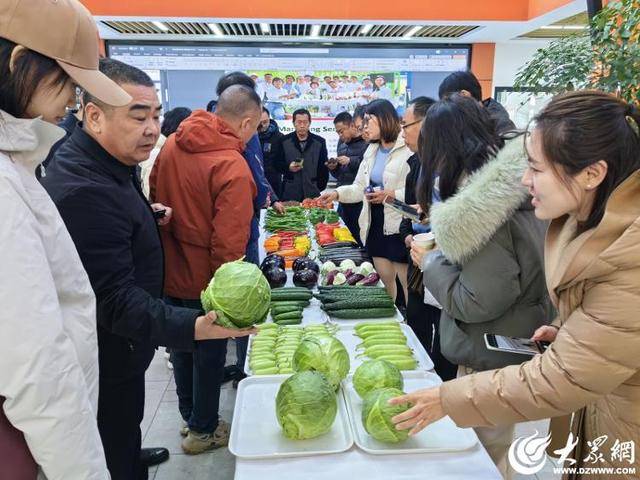 必赢设施种植面积526万亩青岛设施种植业夯实“双节”期间“菜篮子”稳产保供基础(图1)