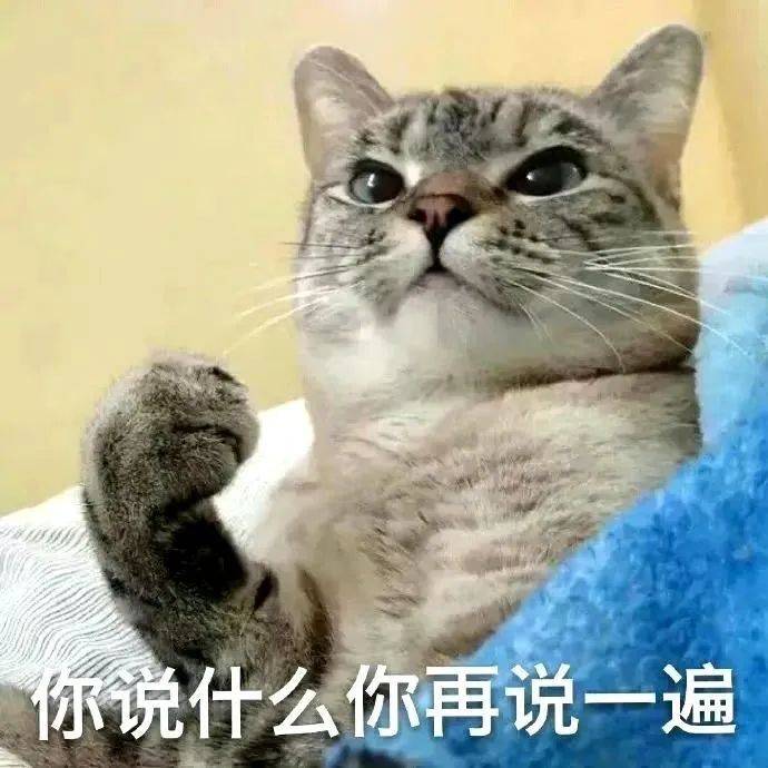 一组神仙表情包