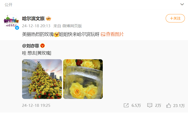 哈尔滨文旅回复刘亦菲冲上热搜，网友：尔滨这次你真的赢麻了！