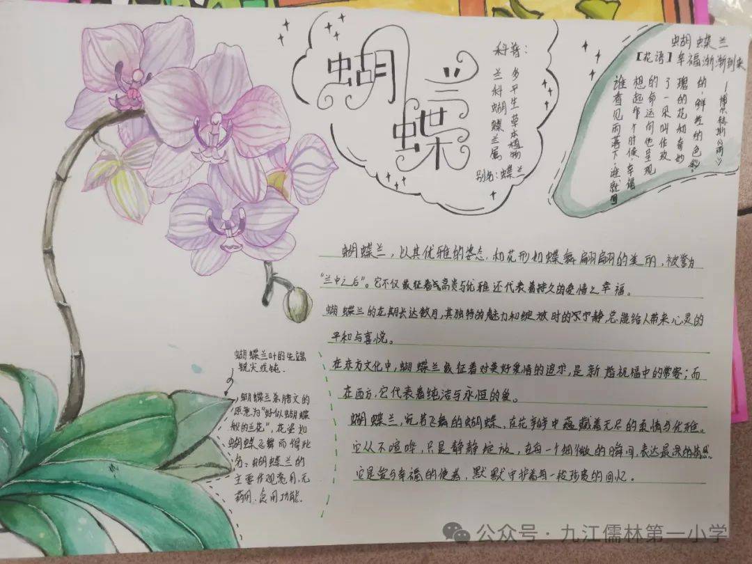 活力一小】缤纷小花园,实践大课堂