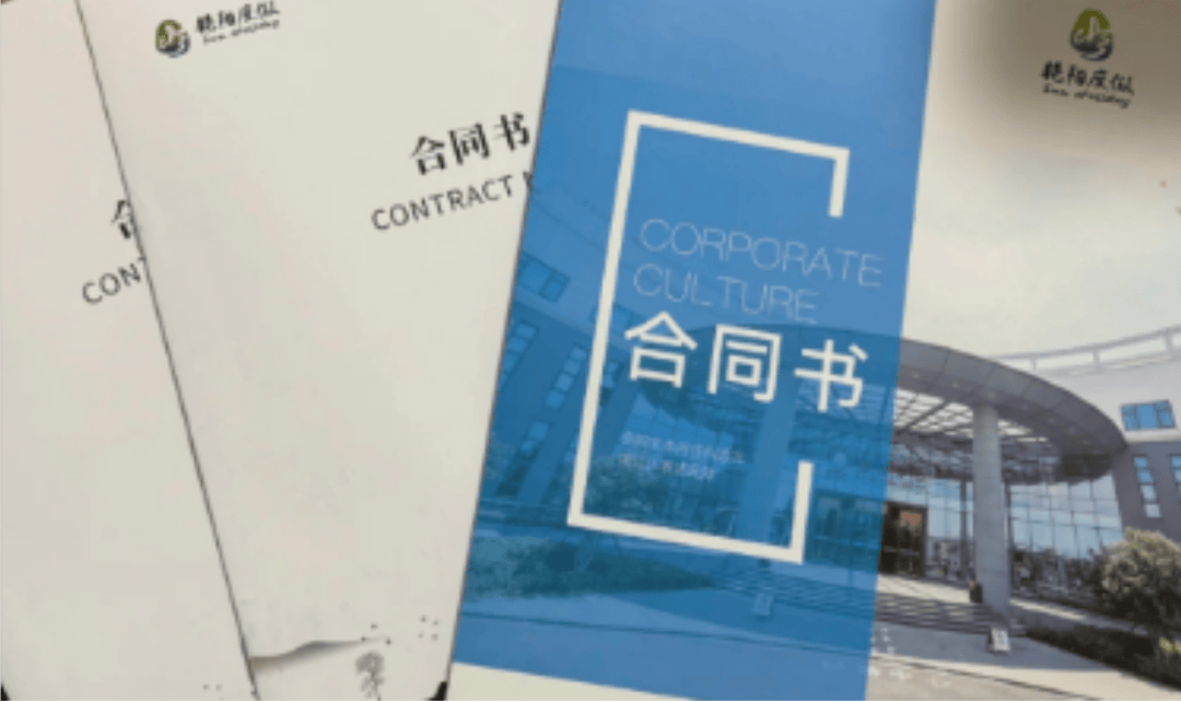 突然暴雷！知名平台遭立案，涉案金额或超百亿元