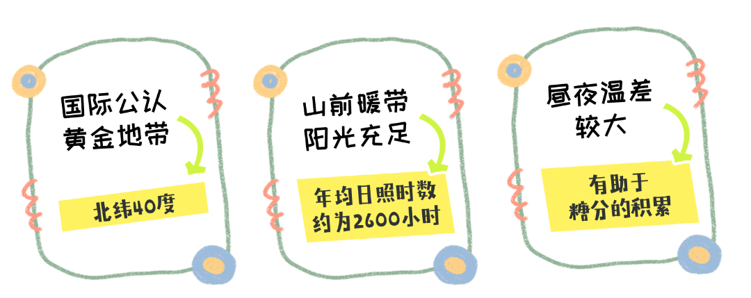 开云体育下载尝鲜儿｜冬天的快乐是昌平草莓给的(图1)
