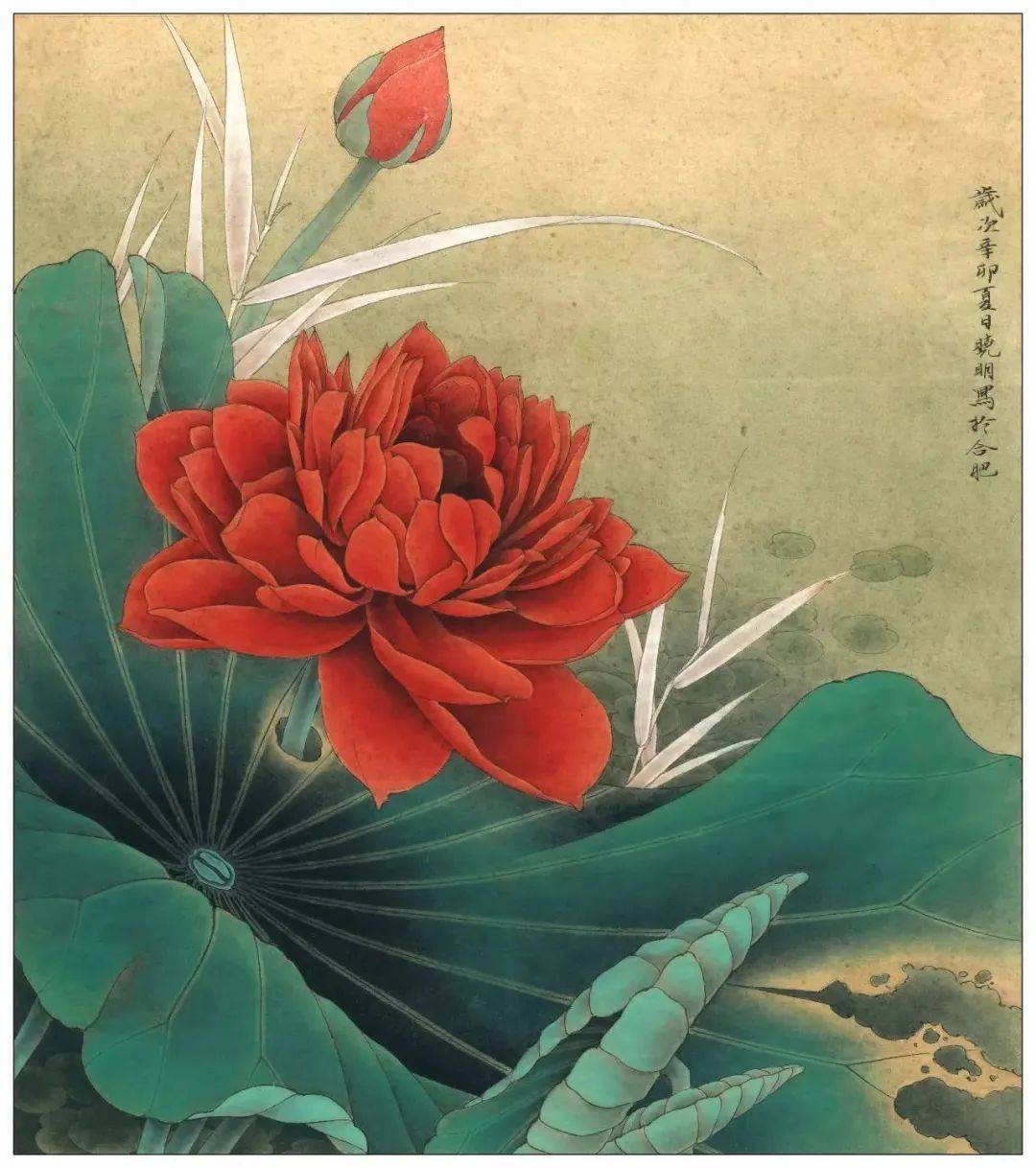 图文教程 | 李晓明工笔荷花《别样红》绘制步骤