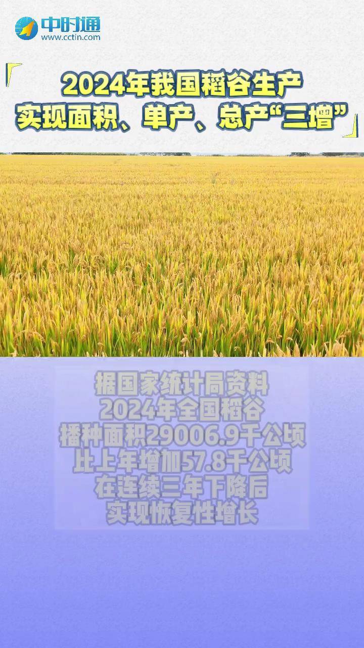 2024年,我国稻谷生产实现面积,单产,总产"三增"