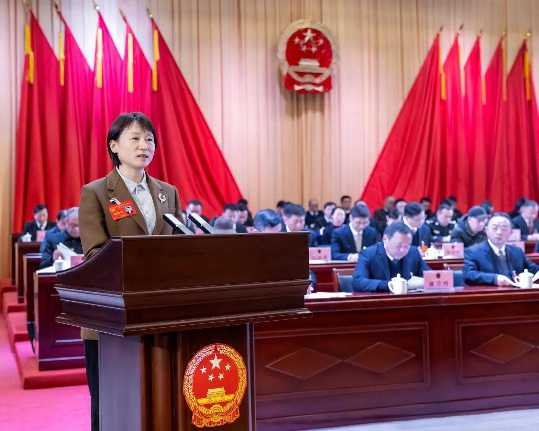 安陆市第九届人民代表大会第四次会议开幕