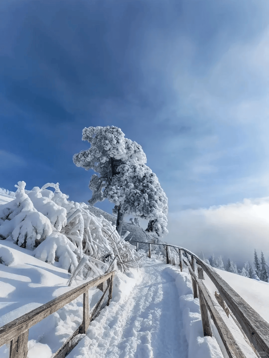 武功山雪景 时间图片