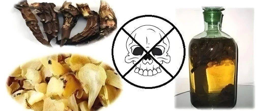 这个杀手的“毒门暗器”惹不起!千万小心!_乌头_草乌_食品