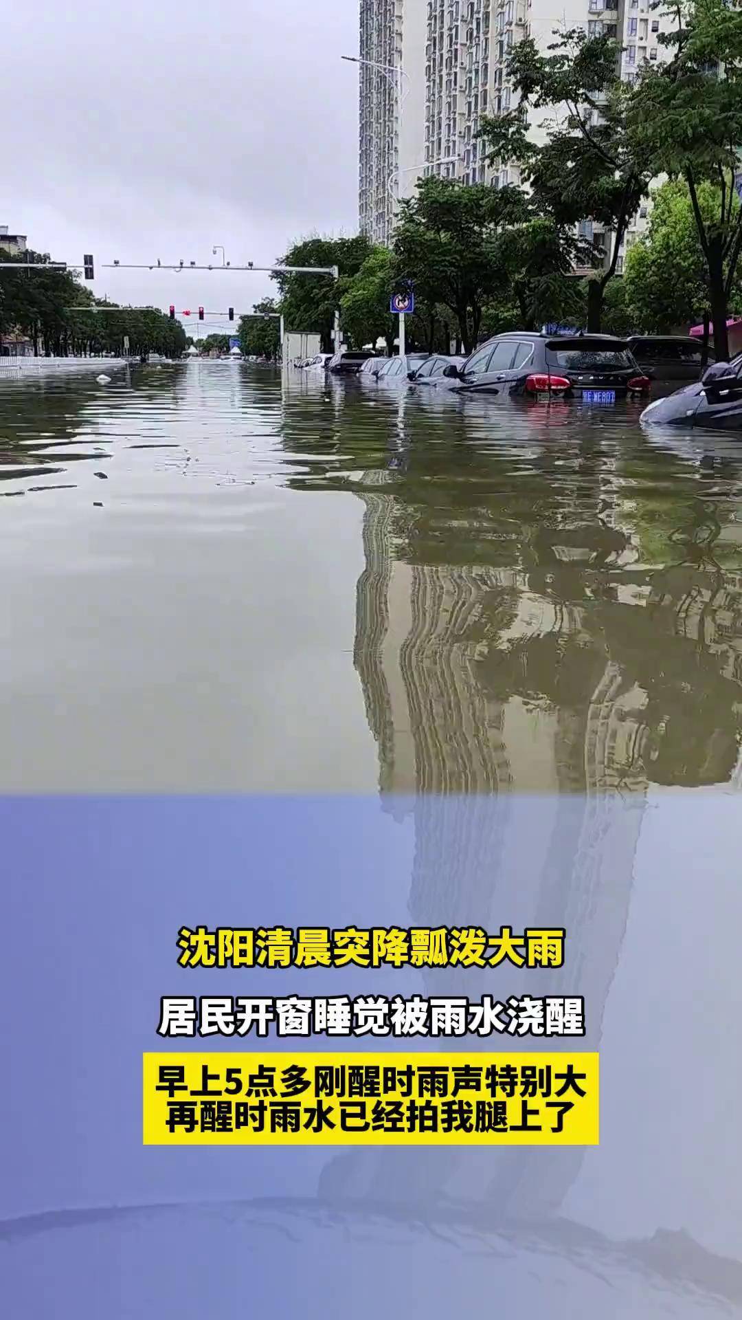 沈阳清晨突降瓢泼大雨,居民开窗睡觉被雨水浇醒,早上5点多刚醒时雨声