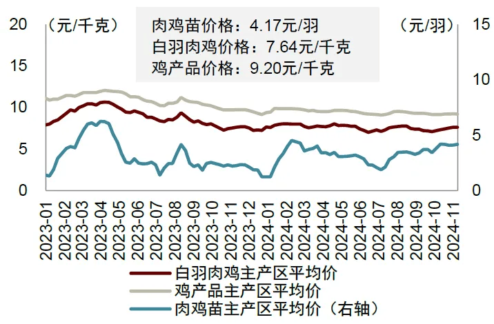 白羽肉鸡采食量表图片