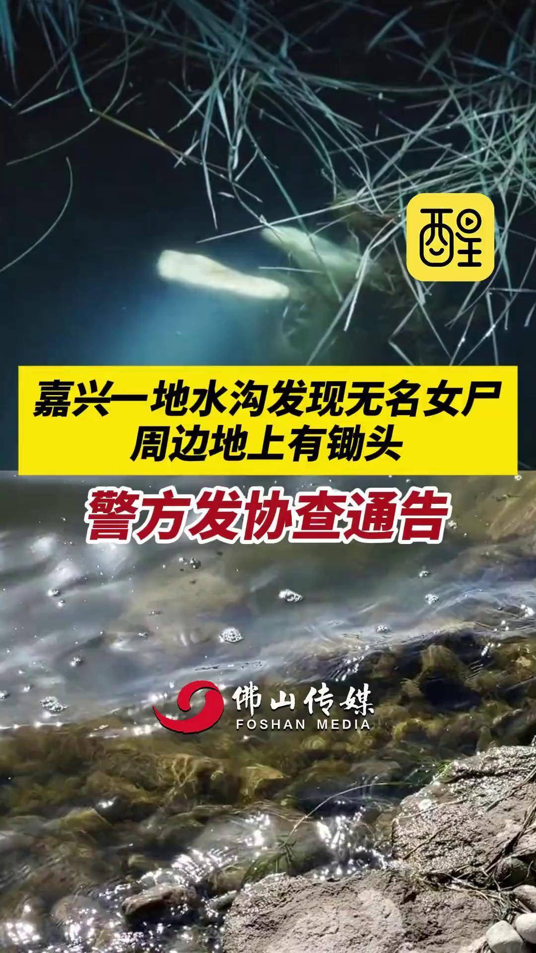 无名女尸 协查图片