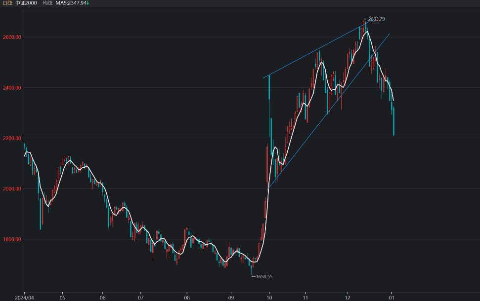 2025剛開年就巨虧5%？