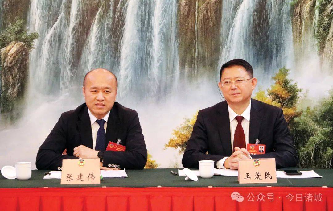 张建伟参加政协委员联组讨论