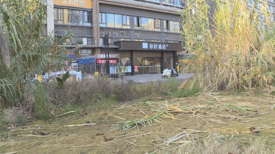 西昌一物业公司未能尽到监管责任被处罚