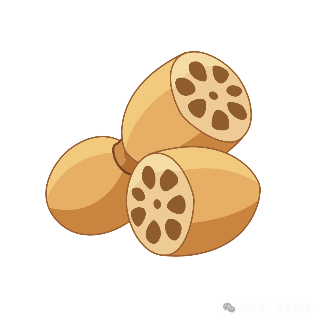 产业"莲"成线 "藕"遇致富路