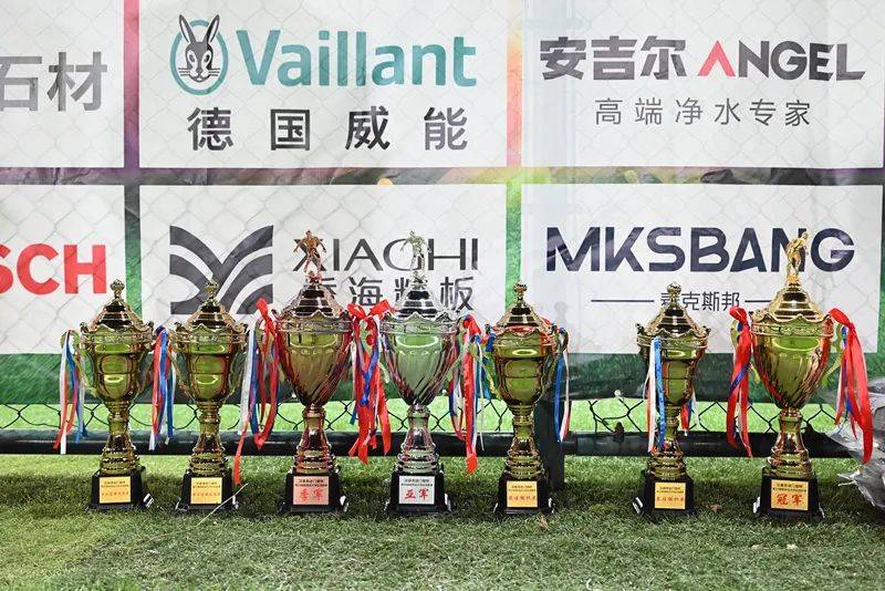 “【闭幕颁奖礼】汉唐奇迹门窗2025江西省