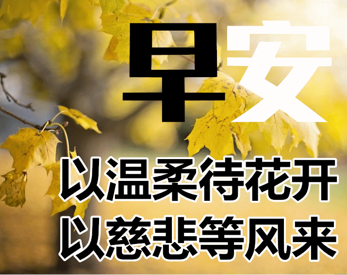 91df5745816941219d58c7b1b4474de6.webp