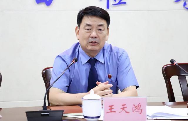 广东王天鸿被查