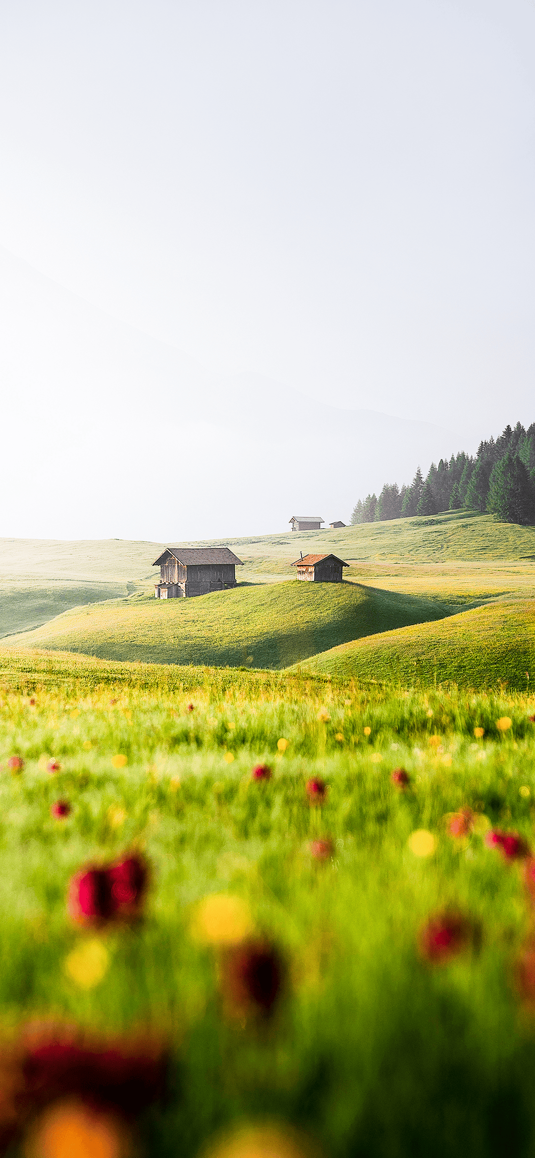 四季雪山风景壁纸
