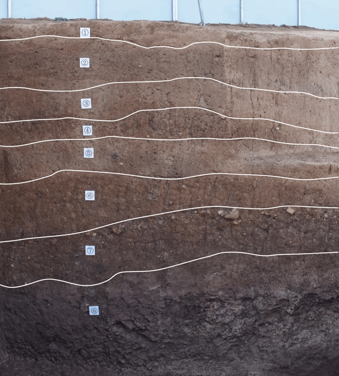 该次考古发掘首先在出土较多石制品的墓葬一侧开具1×2米的探沟tg1