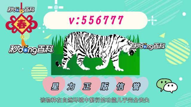 6分钟了解!全新星力十代