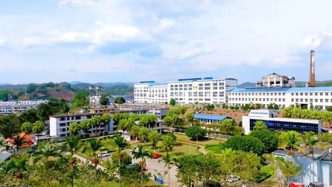 探索勐海染料的独特魅力与市场前景