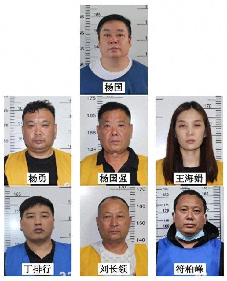 河南蘭考縣以楊國為首的違法犯罪組織被打掉，30余人落網(wǎng)，警方公開征集違法犯罪線索