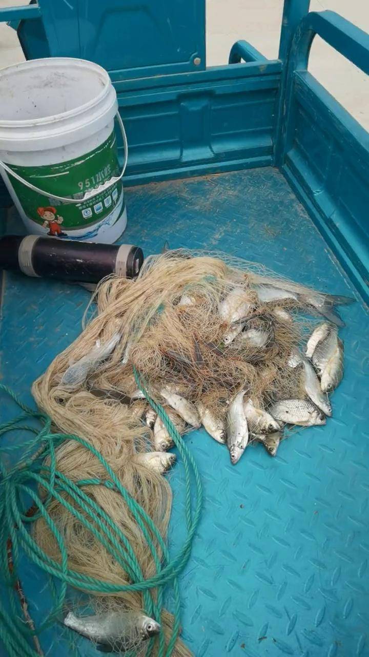 一网爆网,大翘嘴拖上来,真过瘾 真实户外 户外撒网