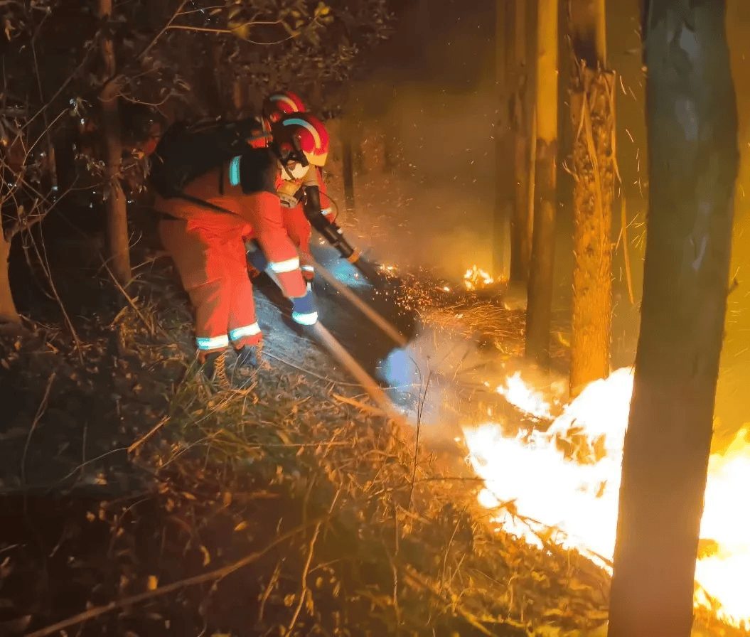 肇庆发生多起山火,多名"放火贼"被抓!