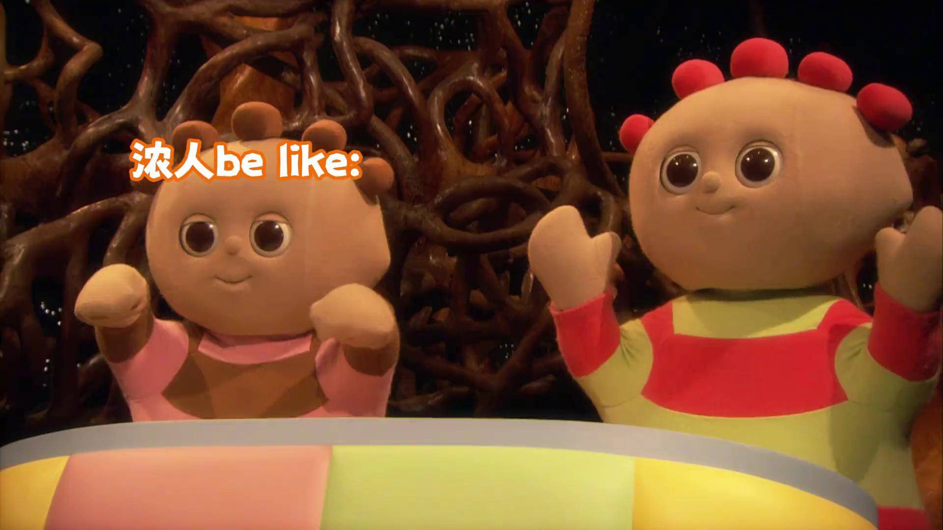 花园里也有浓人淡人跟你想的一样吗花园宝宝玛卡巴卡儿童动画