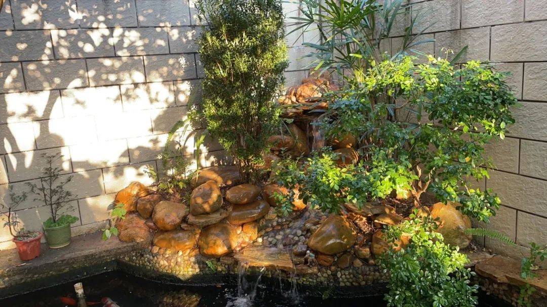 五桂山街道“美丽庭院” ③丨绘最美“院”景展幸福生活(图1)