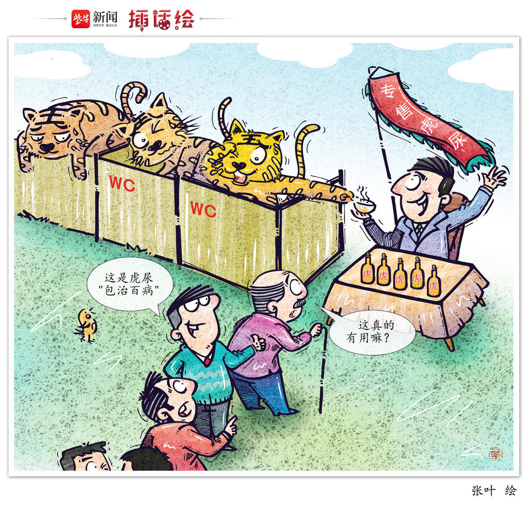 插话绘 | 动物园卖虎尿唬人不只是“虎了吧唧”_中药_老虎_类风湿