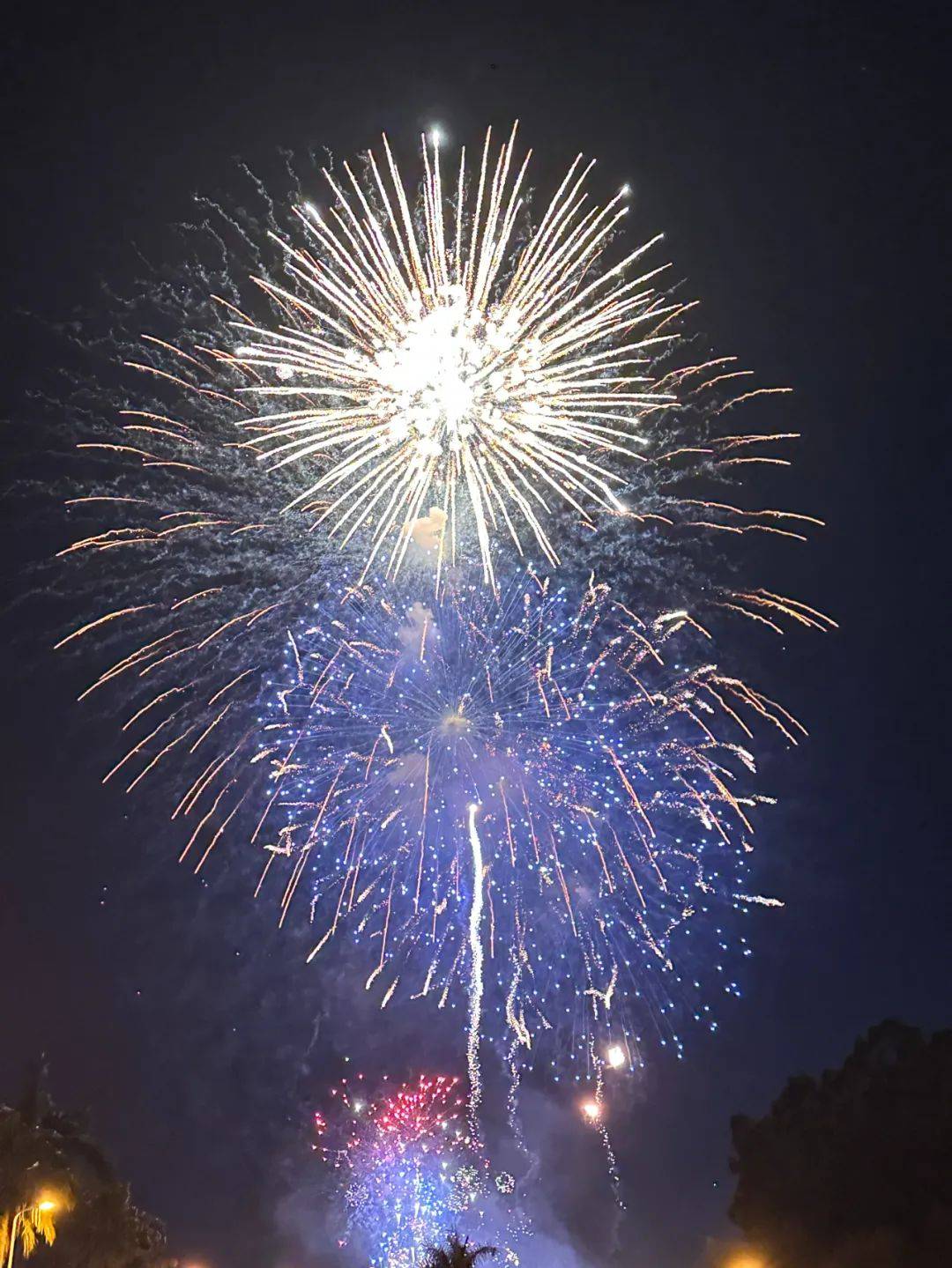 刚刚,厦门金门璀璨对放!